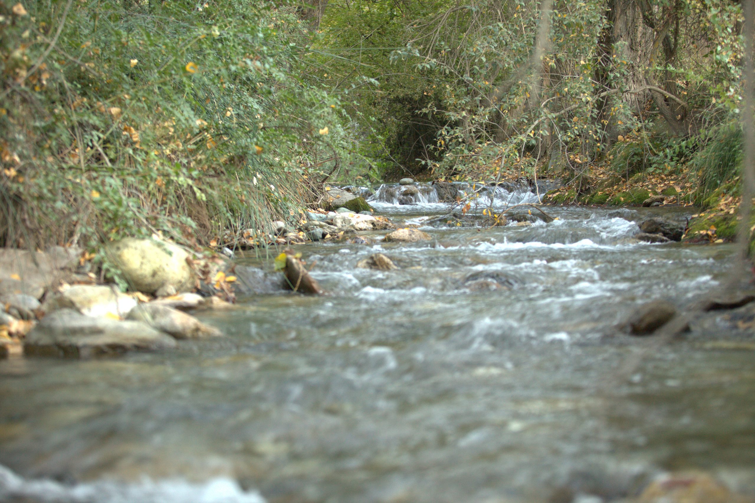 Quaryat Dillar presenta un nuevo sistema de sostenibilidad medioambiental mediante el ahorro de agua. Este permite reutilizar el agua proveniente del lavado de la aceituna, para regar los olivos