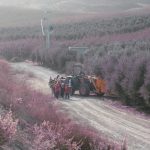 Los pequeños del colegio de Dílar realizan excursiones escolares a la Almazara Quaryat Dillar donde se les introduce en el mundo del aceite de oliva y entran en contacto con la naturaleza.