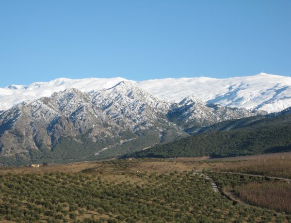Ecoturismo en el parque natural de Sierra Nevada la Almazara Quaryat Dillar realiza actividades de Oleoturismo responsable con el medio ambiente