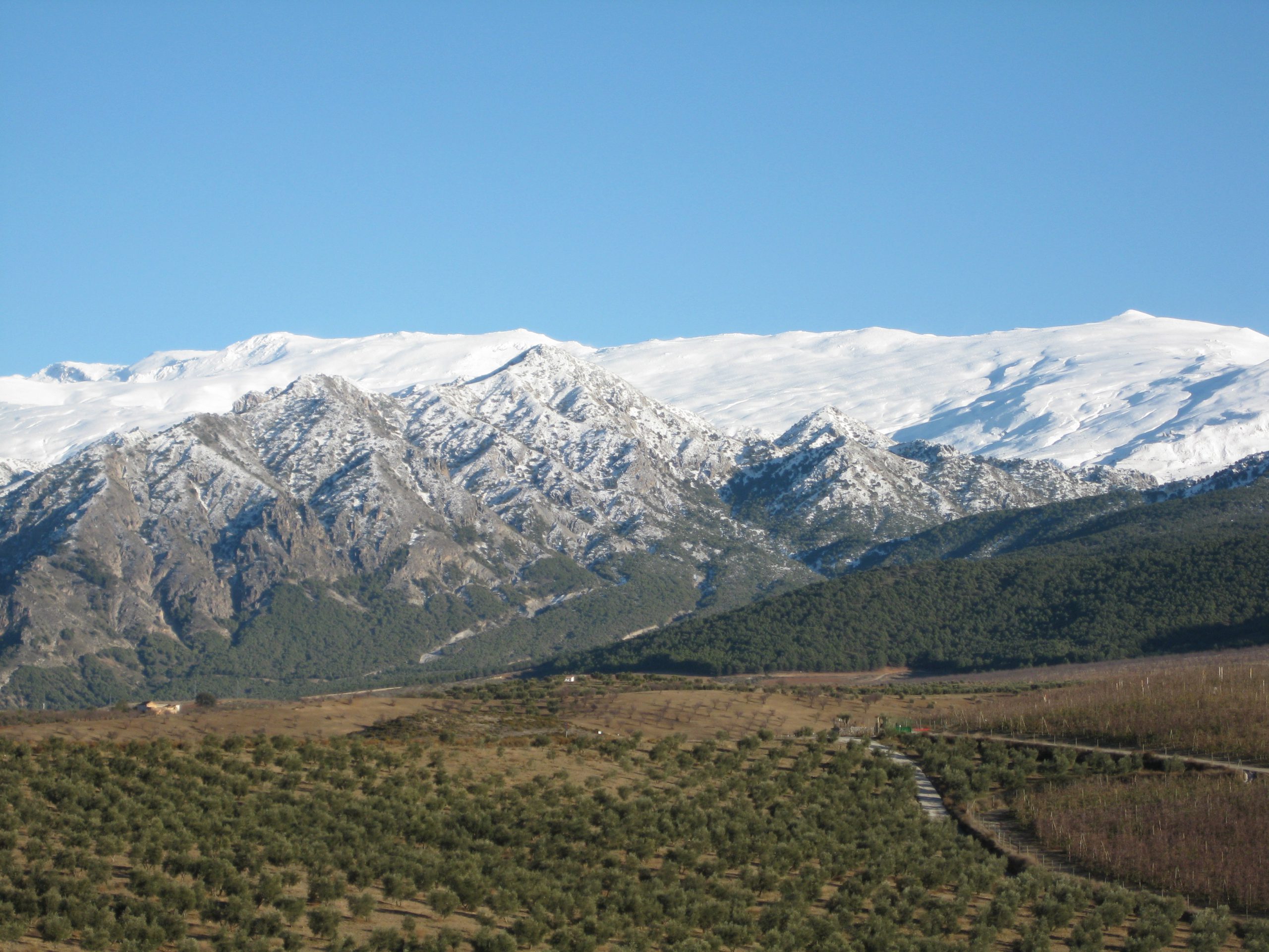 Ecoturismo en el parque natural de Sierra Nevada la Almazara Quaryat Dillar realiza actividades de Oleoturismo responsable con el medio ambiente