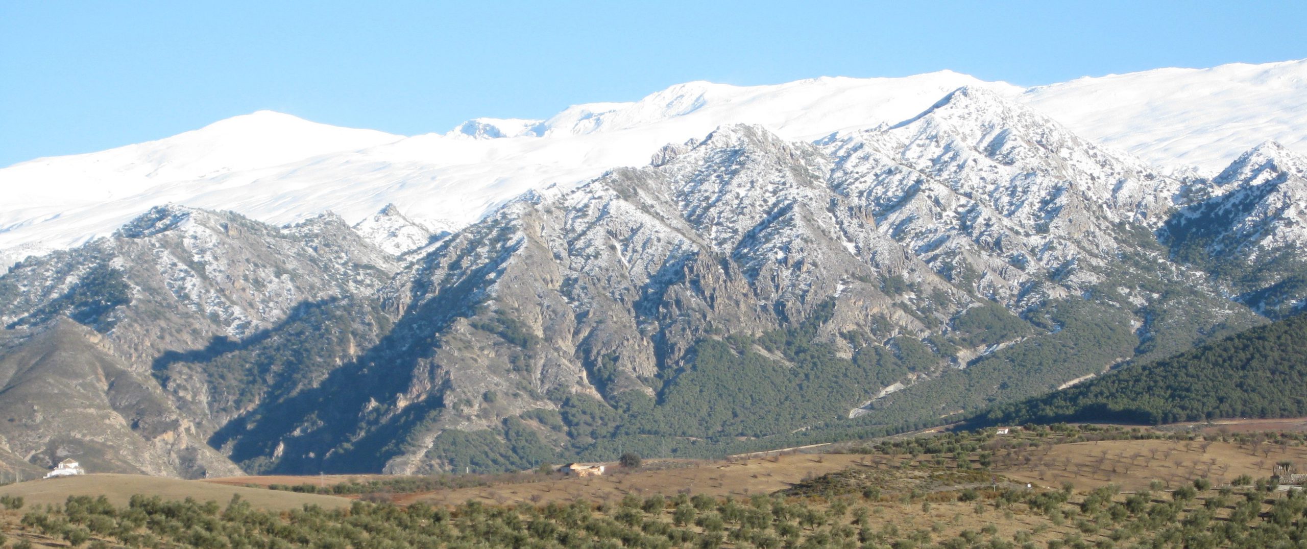Sierra Nevada vista desde la Almazara Quaryat Dillar. Oleoturismo y ecoturismo en la Almazara Quaryat Dillar