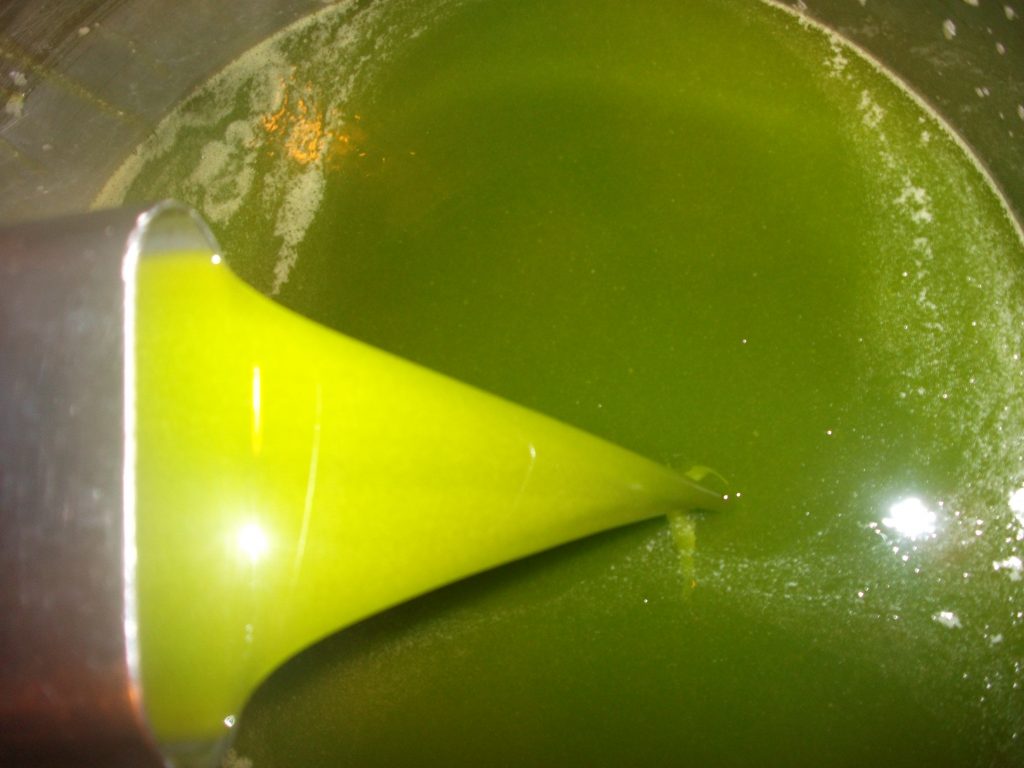 aceite verde quaryat 