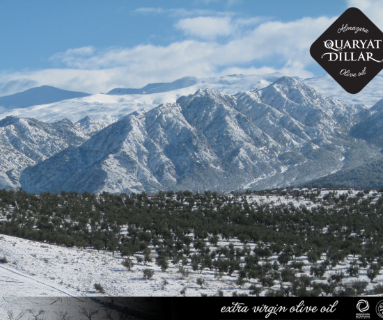 Olivar de Almazara Quaryat Dillar nevado en Sierra Nevada