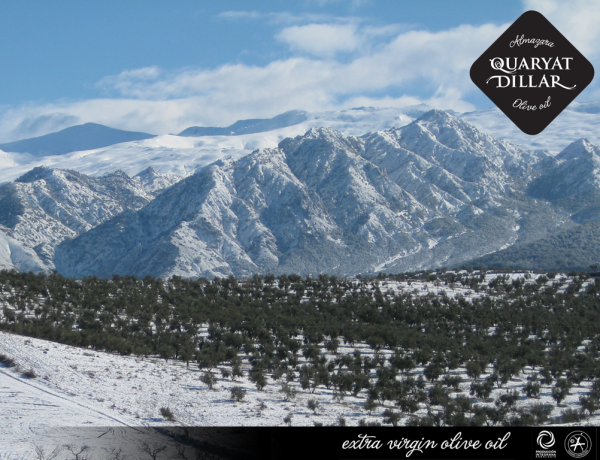 Olivar de Almazara Quaryat Dillar nevado en Sierra Nevada